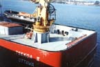 tsekoa12